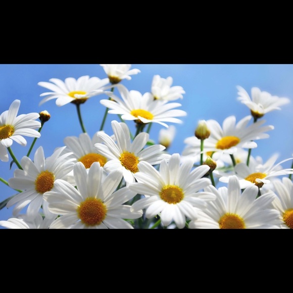 Meet your Posher, Jena - Picture 3 of 4